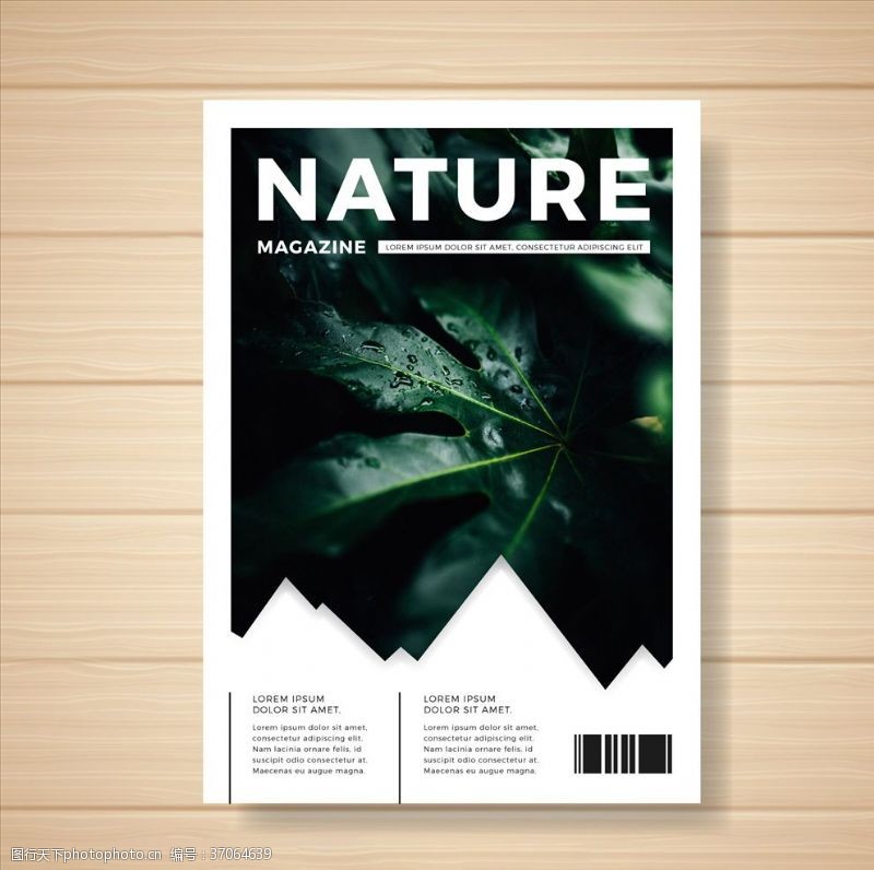 几何名片模板自然风光书籍封面