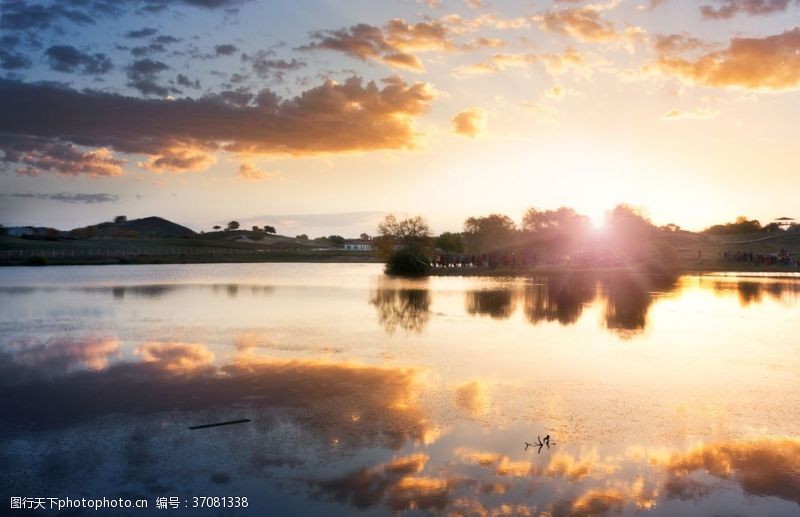 春天小鸟傍晚夕阳