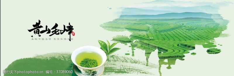 茶园黄山毛峰绿茶茶叶店海报