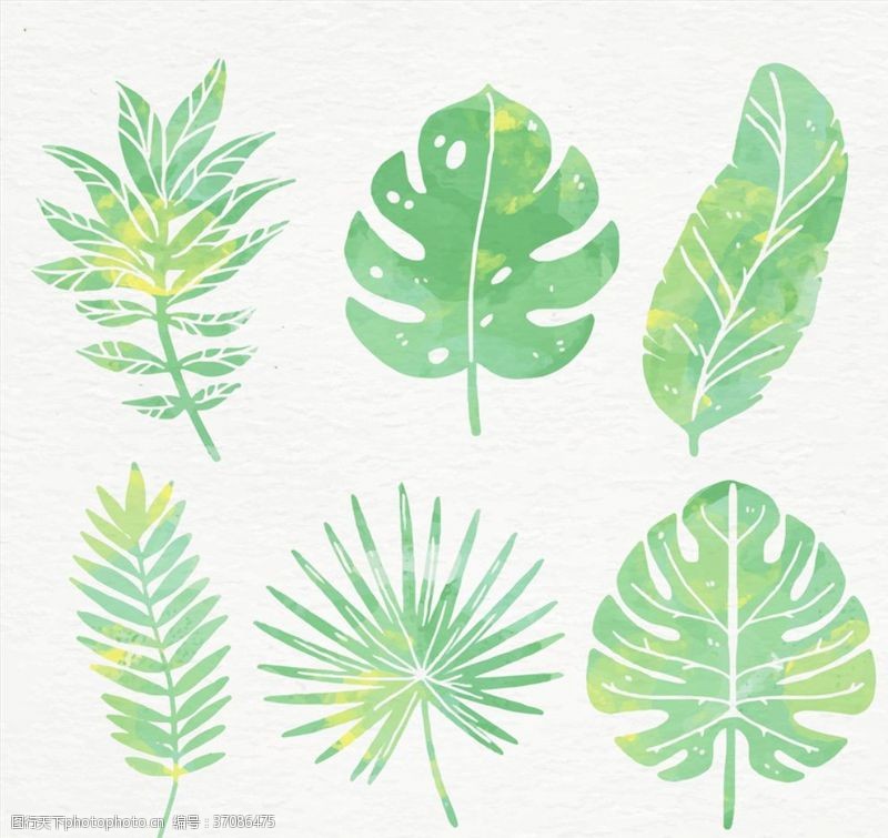 手绘卡通棕榈树水彩绘绿色棕榈树叶矢量图