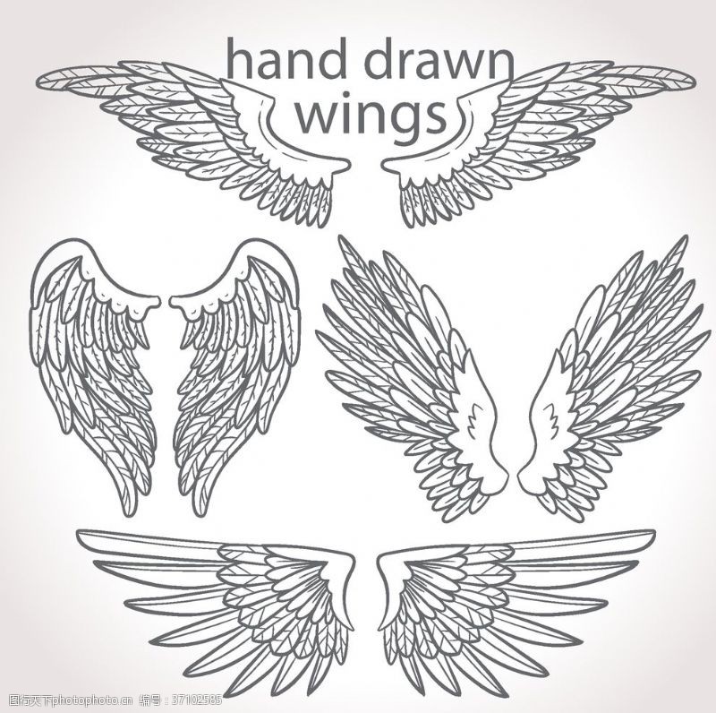 动物素描天使翅膀花纹图案