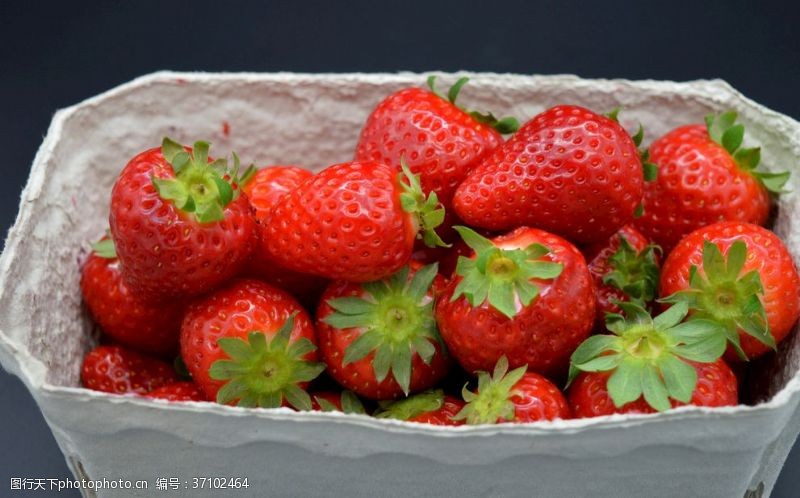 创新成果草莓