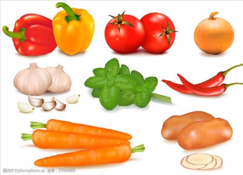 胡萝卜西红柿手绘水彩蔬菜