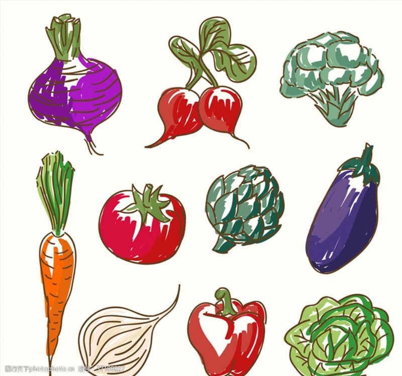 胡萝卜西红柿矢量蔬菜图标