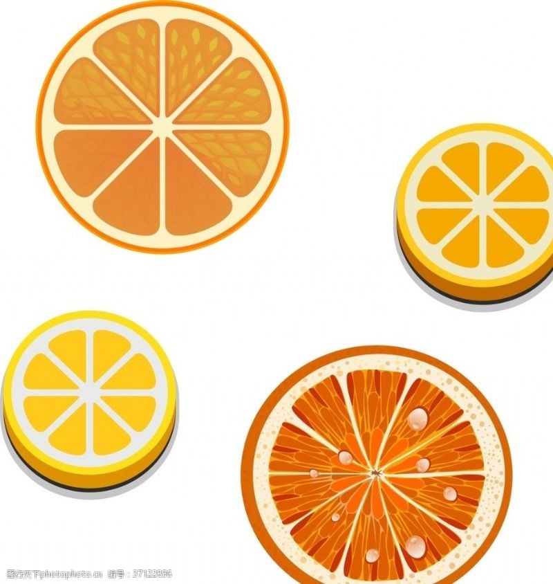 橙子切片素材橘子