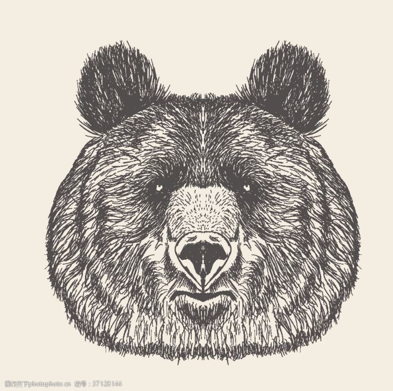 动物素描动物铅笔画