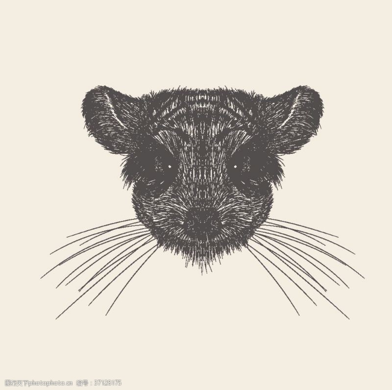 线描动物动物铅笔画