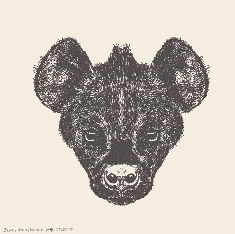 线描动物动物铅笔画