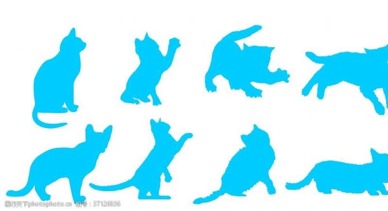 运动跃动猫素材