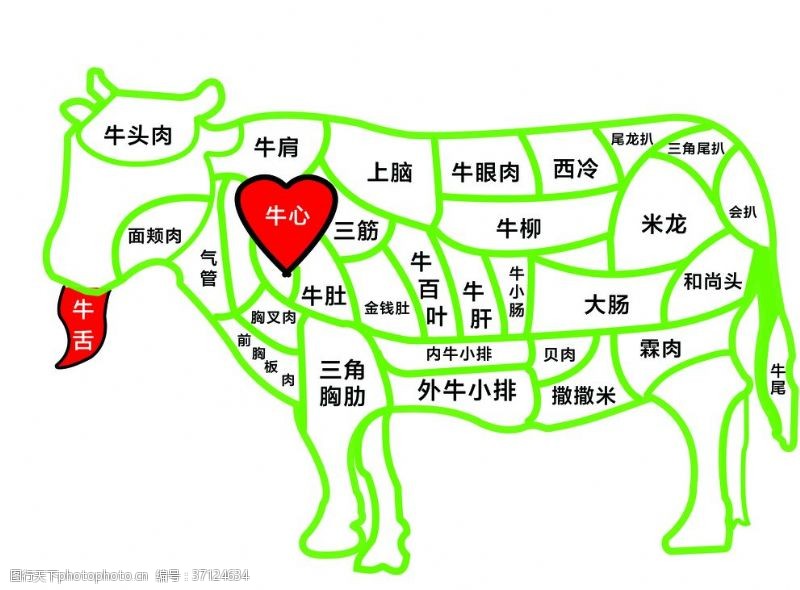 牛肉解析图