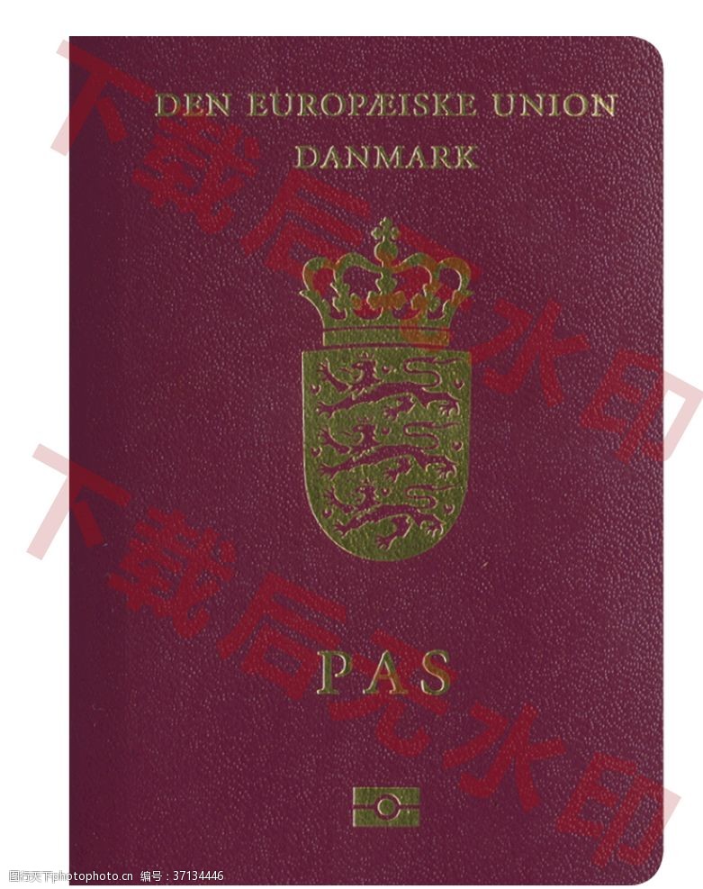 国家标签丹麦护照