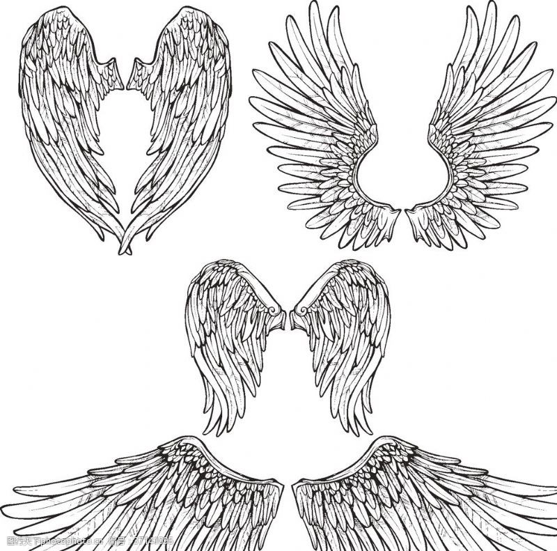 线描动物花纹图案翅膀
