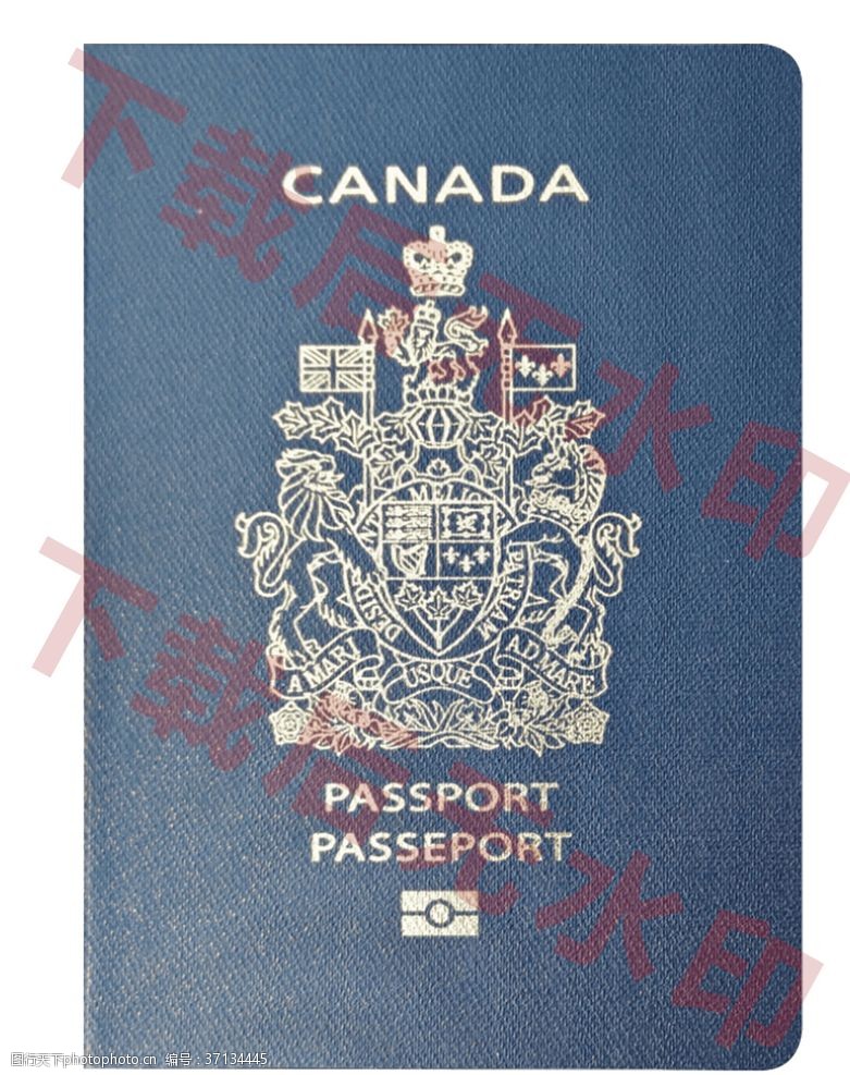 行李箱图标加拿大护照
