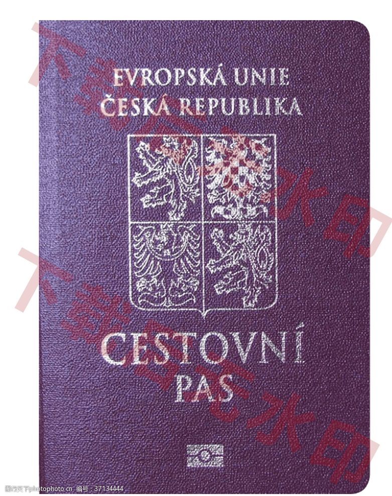 行李箱图标捷克护照