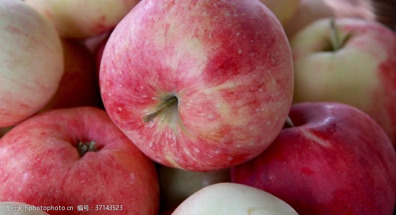 新鲜的水果标签苹果清脆好吃的苹果