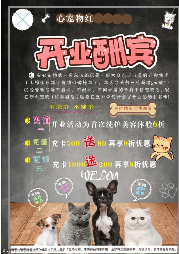 宠物店促销宠物店开业海报