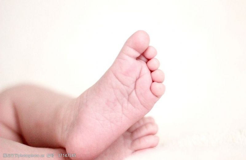 脚趾婴儿的脚