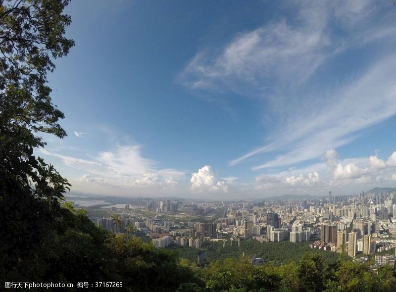 深圳背景图深圳市