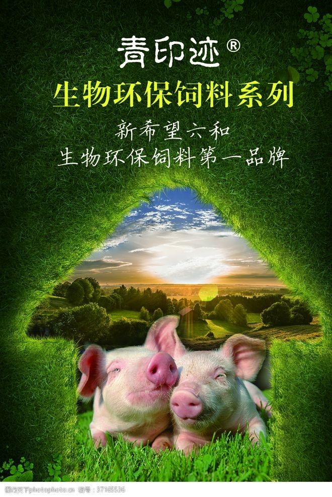 农家土猪饲料海报