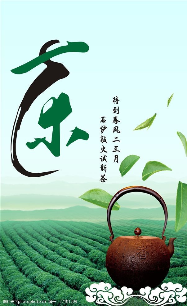 春茶新茶茶道茶韵茶道文化