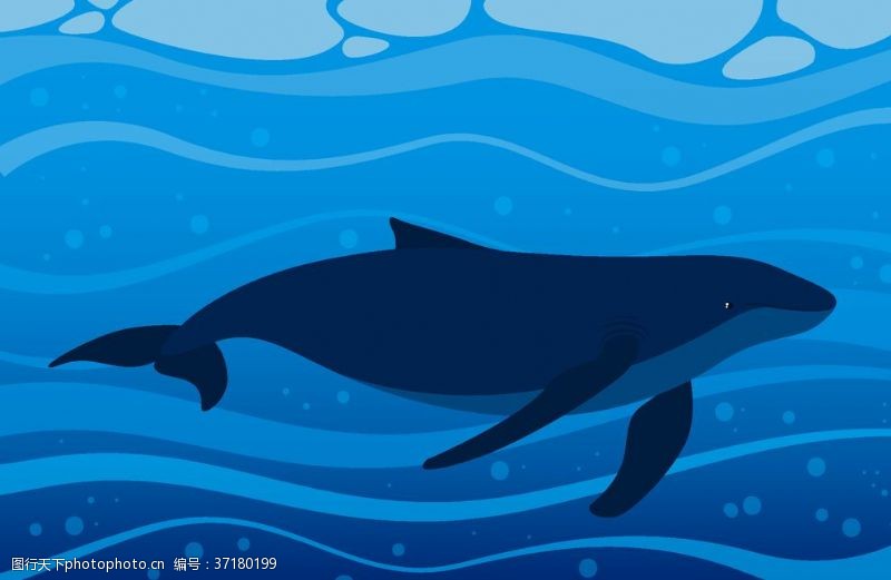 爱护小动物手绘矢量鲸鱼