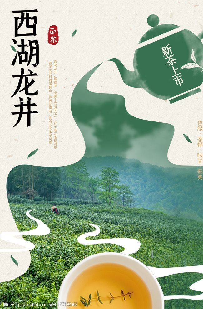 武夷山茶龙井茶