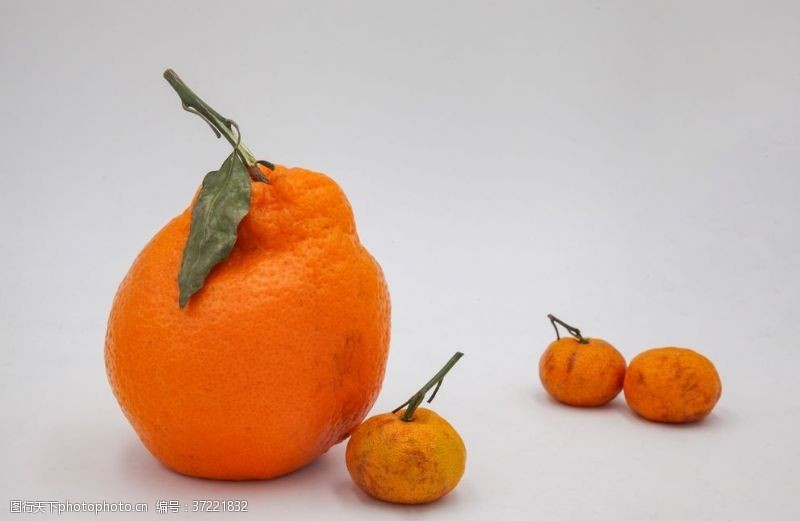橙子切片素材粑粑柑橘子