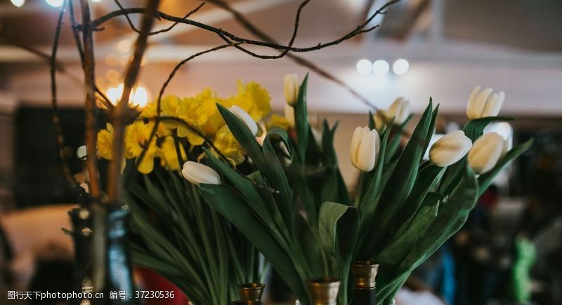 花瓶花艺图片免费下载 花瓶花艺素材 花瓶花艺模板 图行天下素材网