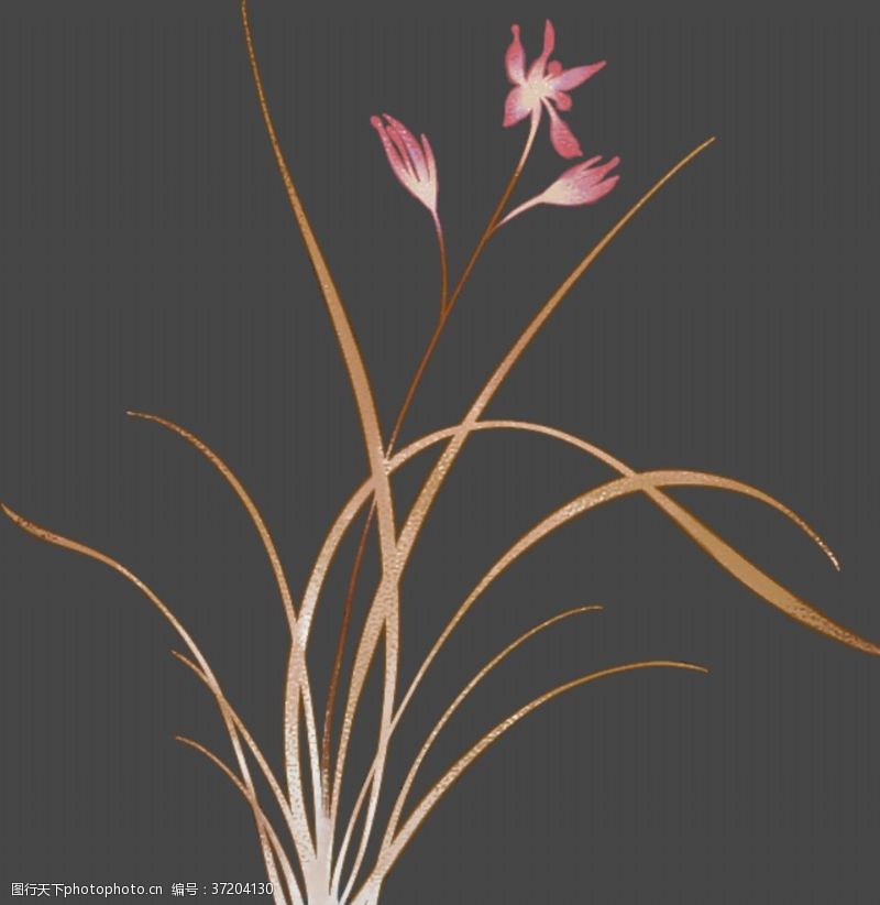 水仙花素描图片免费下载 水仙花素描素材 水仙花素描模板 图行天下素材网