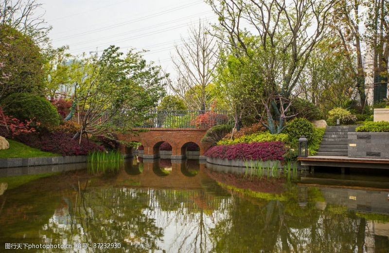 家庭花园庭院