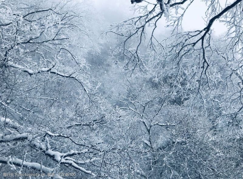 童话雾凇雪景