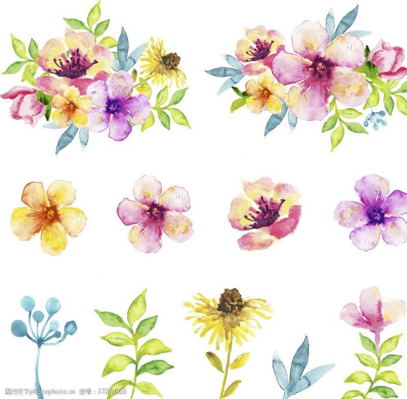 牡丹花茶花卉卡片