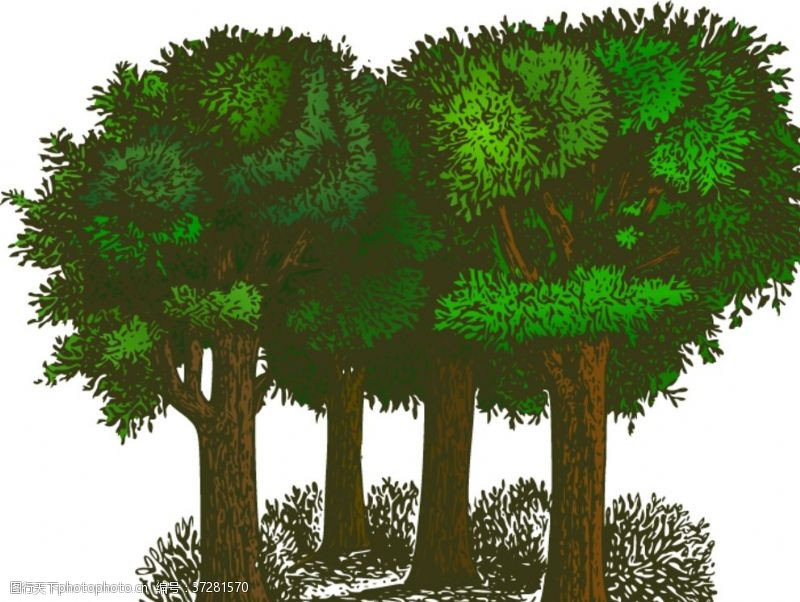 树木剪影树木插图
