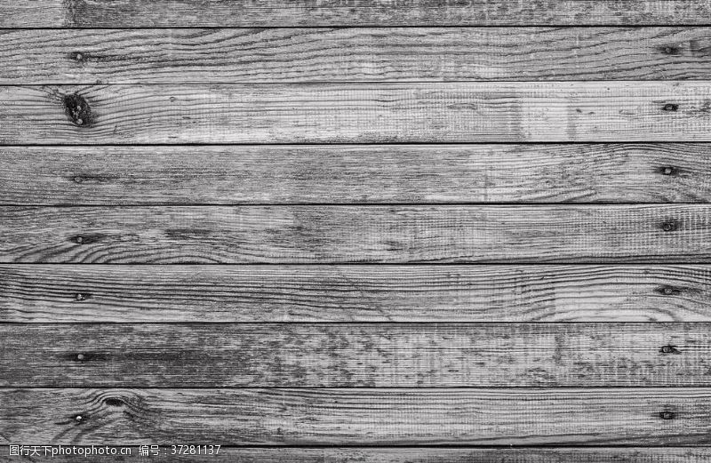 木纹地板有钉子的灰色木板