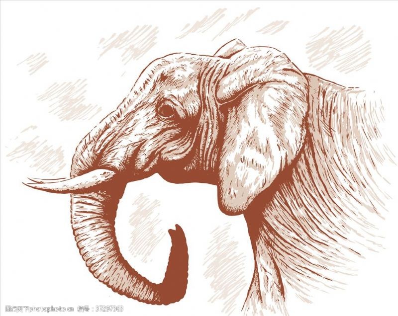 线描动物大象
