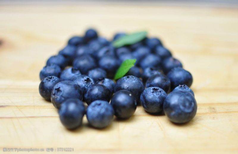野生蓝莓蓝莓