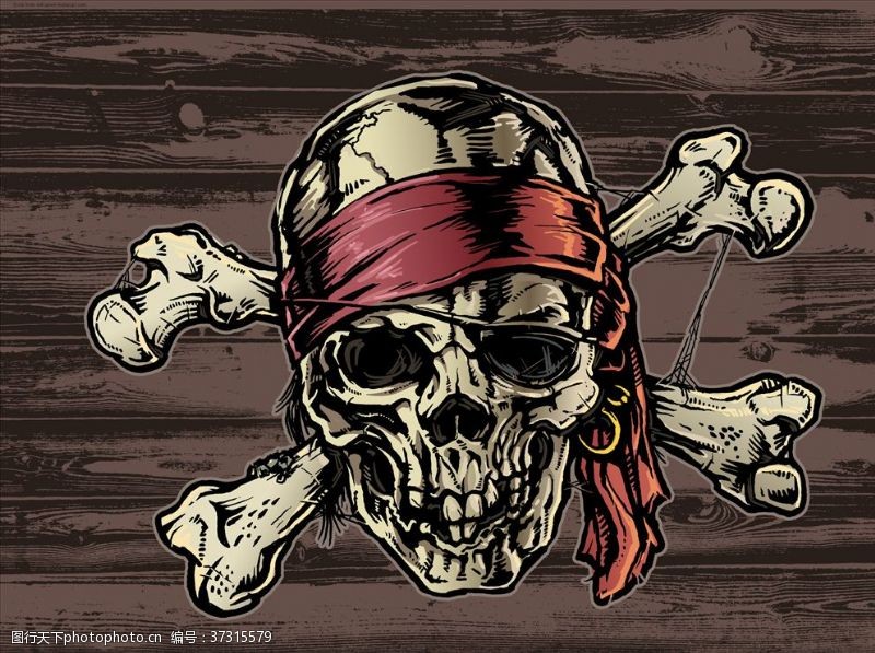 海盗骷髅头骨骷髅头
