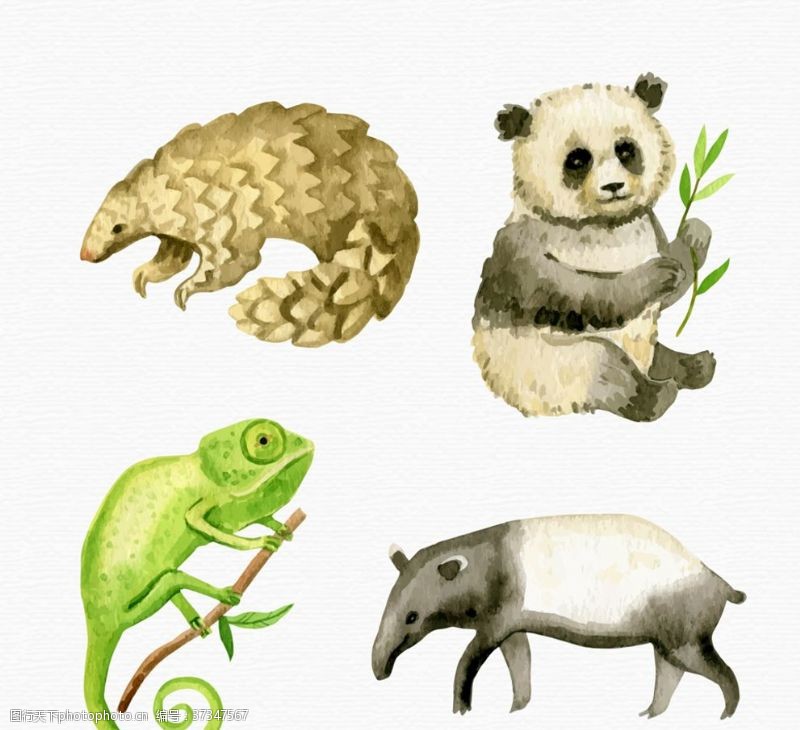 格子图4款水彩绘野生动物矢量素材
