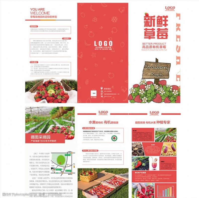 蔬菜三折页草莓水果园折页传单