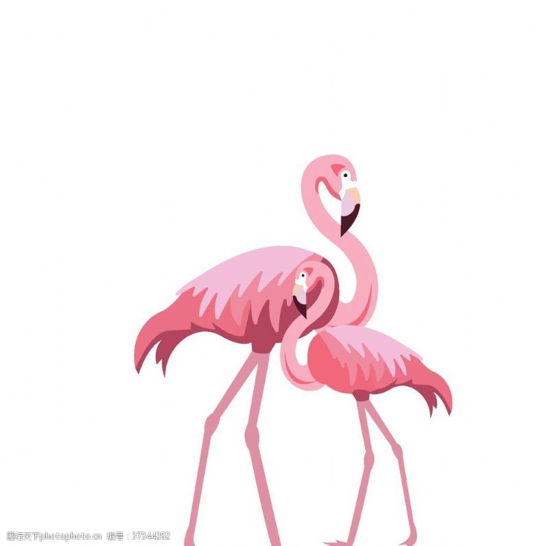 粉色火烈鸟火烈鸟