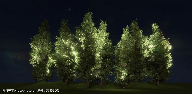 低矮植物灌木夜景亮化素材