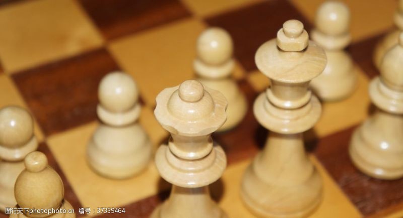 棋牌矢量素材国际象棋
