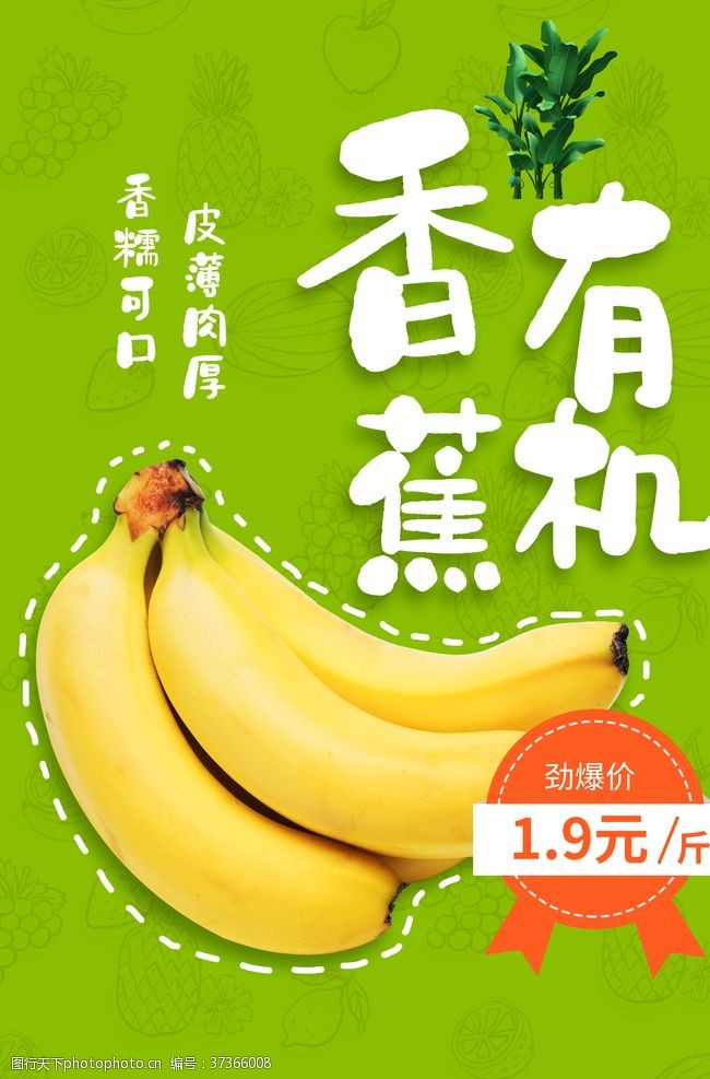 小米4展架香蕉
