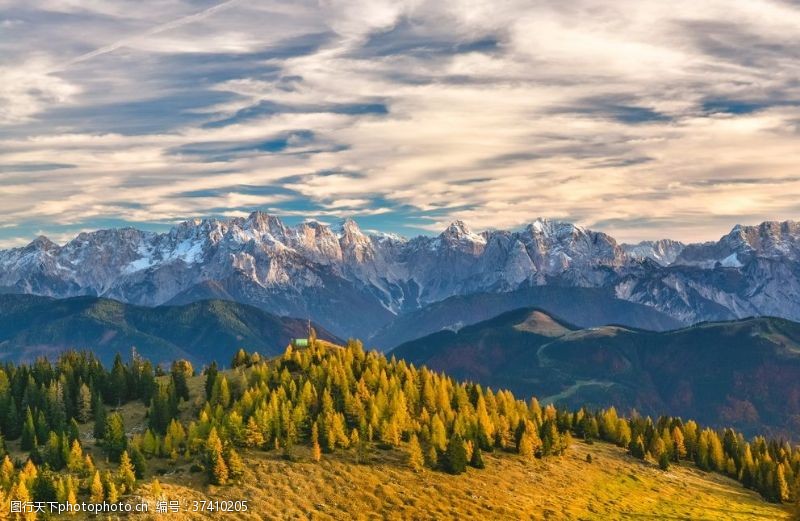 艾草阿尔卑斯山风景