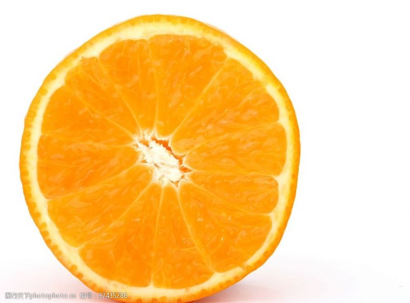 橙子切片素材橙子切面