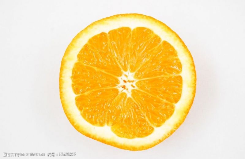 橙子切片素材橙子切片