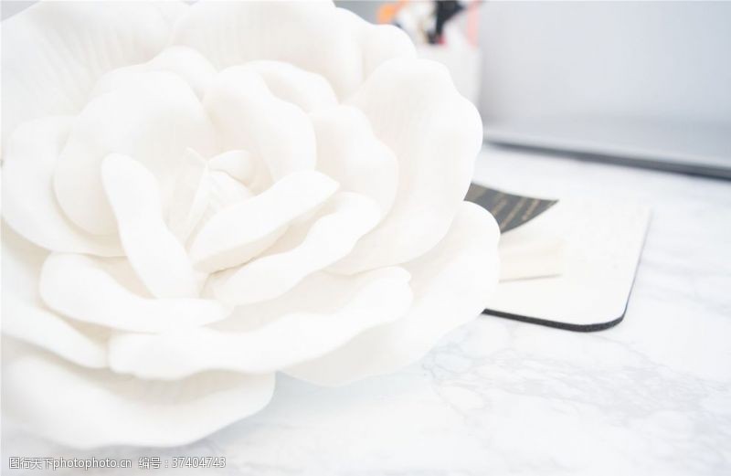 石纹纺织大理石桌上的白色纺织玫瑰花