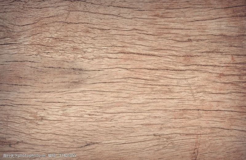 伐木木纹
