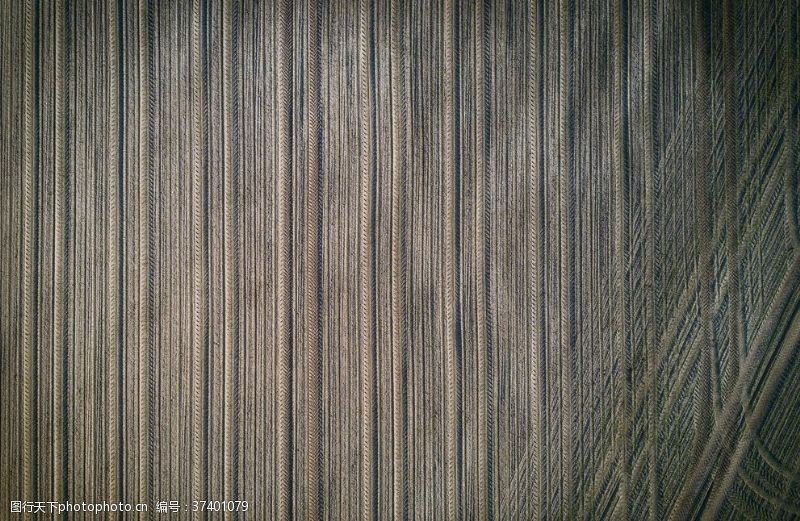 伐木木纹