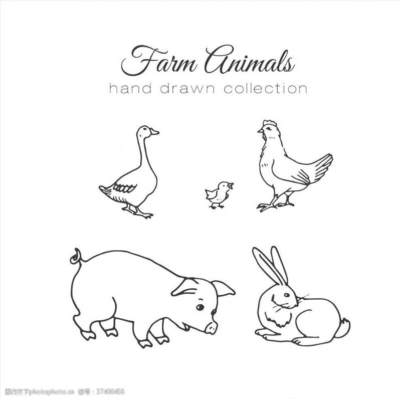 线描动物手绘线性动物